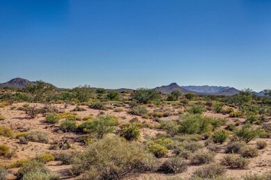 Lot 339 Pic 2