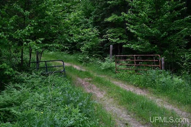 TBD Mud Lake Rd, Lake Linden, MI 49945 - photo 4