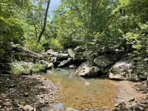 IMG_8456