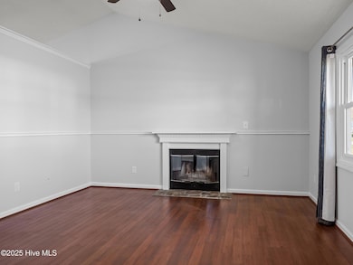 Living Room Fireplace
