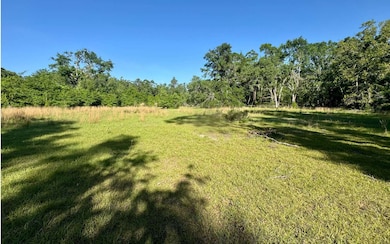 TBD County Road 132, Live Oak, FL 32060 - photo 7