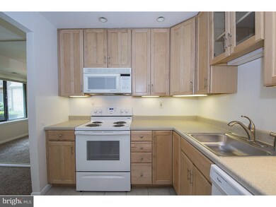 700 Ardmore Ave unit 115, Ardmore, PA 19003 - photo 5