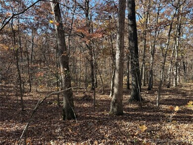 54 Acres Whitetail Way, Cole Township, MO 65338 - photo 6