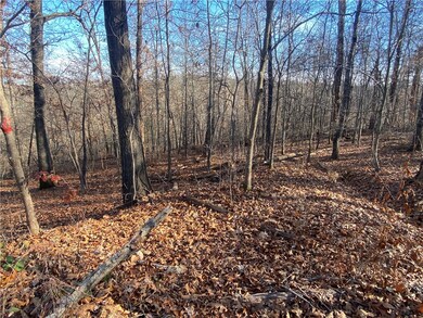 0 Lots 15 & 16 Nidd Ln unit 1262577, Bella Vista, AR 72714 - photo 3