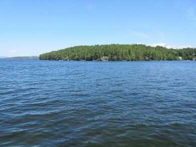 4 Pineneedle Cove, Tuftonboro, NH 03816 - photo 4