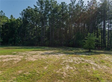 2421 Grinstead Ct, Clover, SC 29710 - photo 4