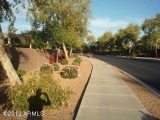 Tree Lined Streets