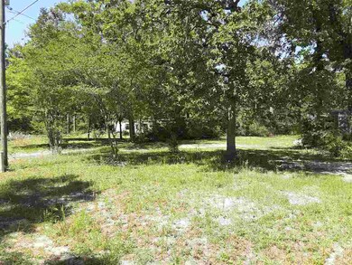 0 Brown Blvd, Crawfordville, FL 32327 - photo 3