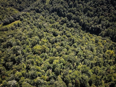 TBD Long Run Rd, Belington, WV 26591 - photo 4