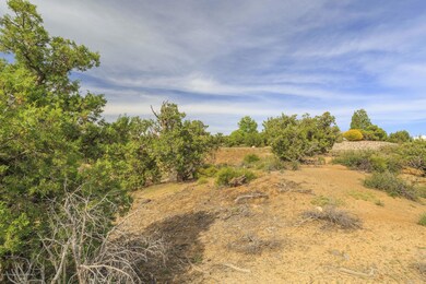 7501 Las Brisas Trail, Farmington, NM 87402 - photo 4