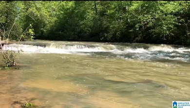 10450 Thermal Rd, Trafford, AL 35172 - photo 2