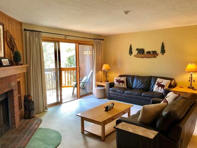 79 Riverfront Dr unit 196, Woodstock, NH 03262 - photo 4