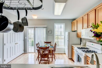 42807 Flannigan Terrace, Chantilly, VA 20152 - photo 7