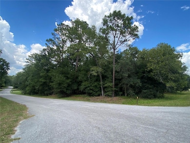 Lot 57 SW 203rd Ave, Dunnellon, FL 34431 - photo 2