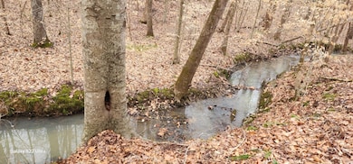 20db53e4-1aa8-4199-972e-2c38520c3949