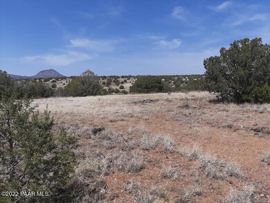118 Juniperwood Ranch, Ash Fork, AZ 86320 - photo 4