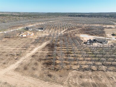 112 Palamino Ct, Cresson, TX 76035 - photo 7