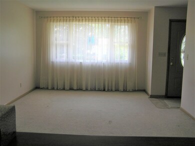 LIVING ROOM WINDOW