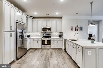 21022 Rocky Knoll Square unit 203, Ashburn, VA 20147 - photo 6