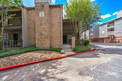 7711 Callaghan Rd unit 101, San Antonio, TX 78229 - photo 2