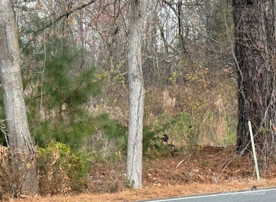 13315-2 Ramah Church Rd, Huntersville, NC 28078 - photo 2