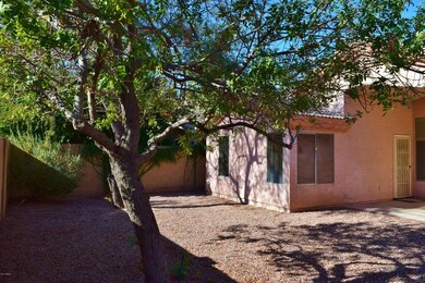 low maintenance back yard