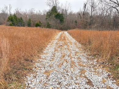 02 Norfork Village St, Tecumseh, MO 65760 - photo 3