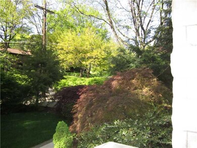 Yard/Garden. Two lace leaf Japanese maples are fea