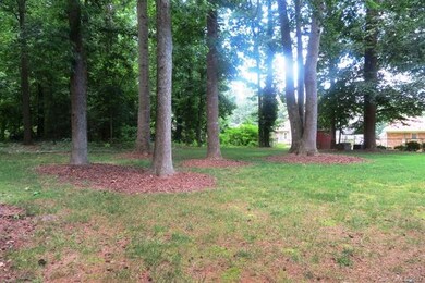 Hard to find large flat back yard with trees & nat