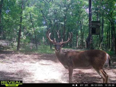 Tbd, Fouke, AR 71837 - photo 2