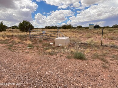 Lot 4 Ranch of the White Mountains, Concho, AZ 85924 - photo 6