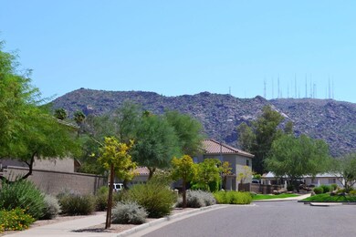 View From Front Yard