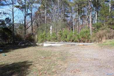 1.0 County Road 122, Fort Payne, AL 35968 - photo 2