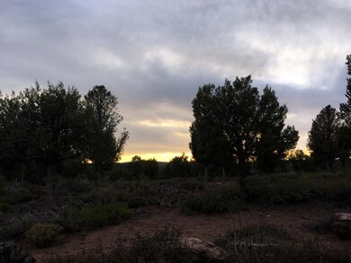 8 S Palomino Dr, Payson, AZ 85541 - photo 5