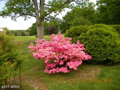 782 Copp Rd, Strasburg, VA 22657 - photo 7