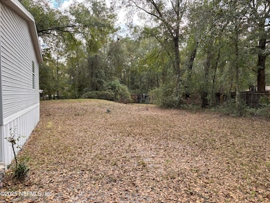 4667 Peppergrass St, Middleburg, FL 32068 - photo 5