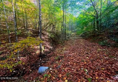 0 Manning Hollow Rd unit 1311320, Sevierville, TN 37876 - photo 5