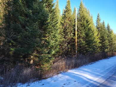 ON Cth A, Deerbrook, WI 54424 - photo 2