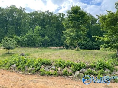 646 Keel Mountain Rd, Gurley, AL 35748 - photo 2