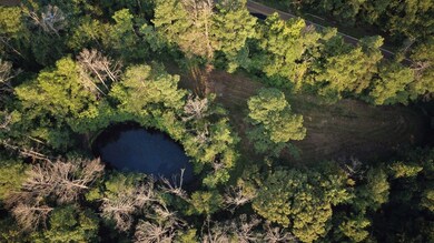 0 Sumrall Rd unit 24629681, Crystal Springs, MS 39059 - photo 3