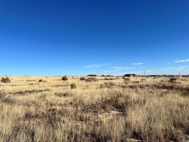 1392 N Blazing Star Ln, Pueblo West, CO 81007 - photo 2
