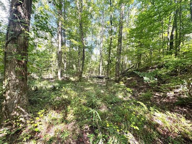 0 Chapel Hill Rd, Grenada, MS 38901 - photo 5