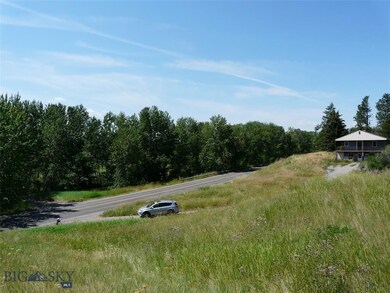 View from property of Bridger Creek riparian area.