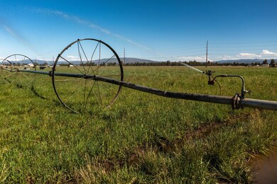 03DJI_0858-Enhanced-NR-1-HDR-min