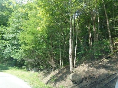 00 Skygusty Hwy, Squire, VA 24619 - photo 3