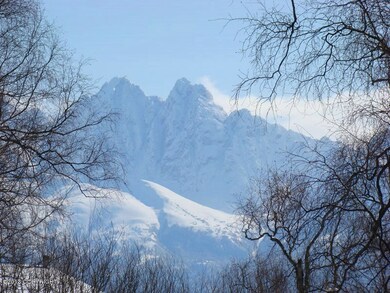mtn view