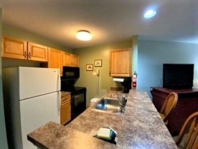 160 Deer Park Dr unit 147-2 A, Woodstock, NH 03262 - photo 6