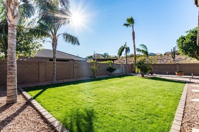 Backyard 2