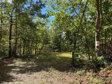 0 Burnt Leaf Ln unit 419226, Shooting Creek, NC 28904 - photo 5