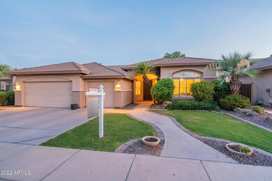 Tamarisk-Twilight-10